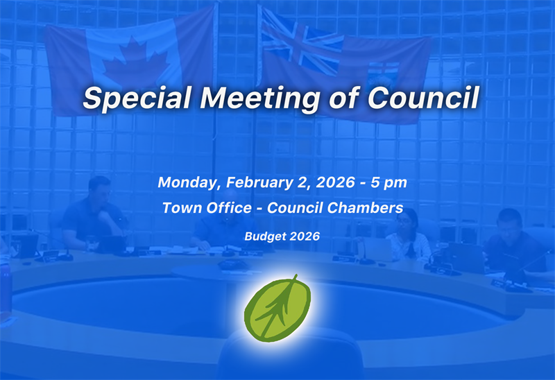 Special Meeting of Council