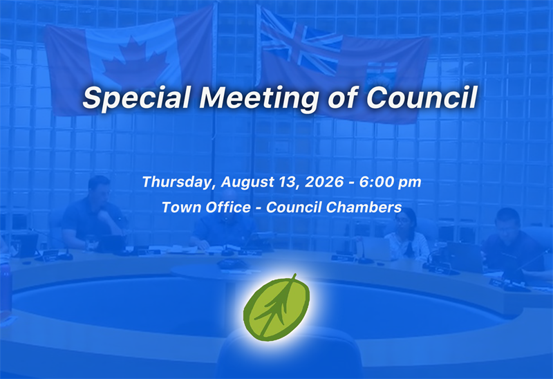 Special Meeting of Council